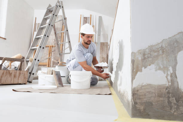 Best Black Mold Removal  in Golden Gate, FL